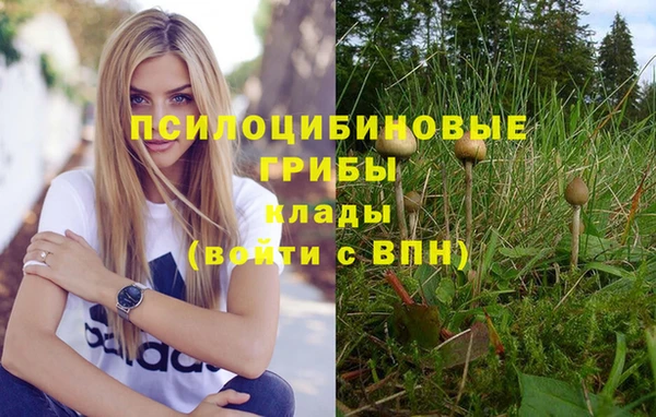 ешки Абдулино
